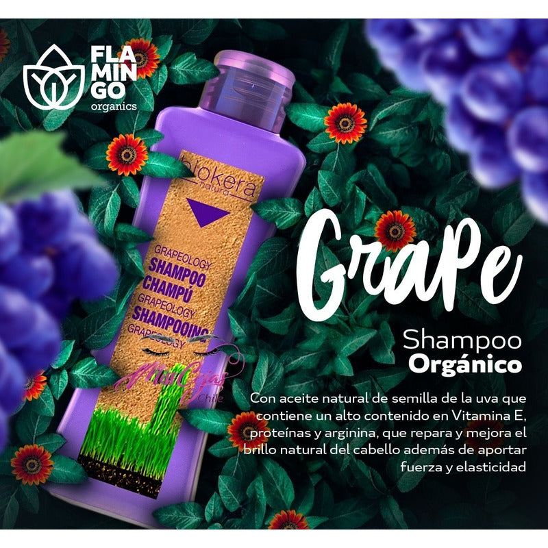 Shampoo Capilar Grapeology Protector Color Salerm Cosmetics