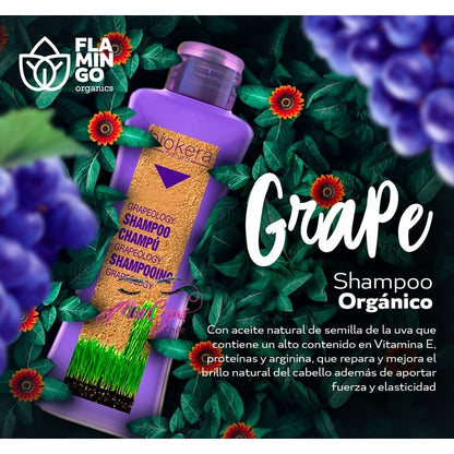 Kit Capilar Shampoo Y Aceite Grapeology Salerm Cosmetics